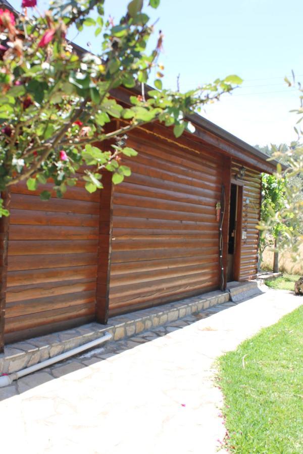 Bed and Breakfast Sakin Vadi Winehouse Orhaniye  Esterno foto