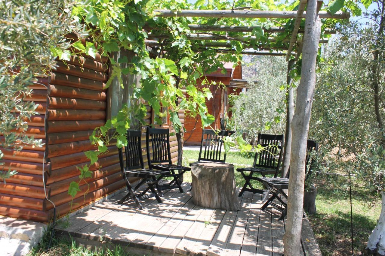 Bed and Breakfast Sakin Vadi Winehouse Orhaniye  Esterno foto