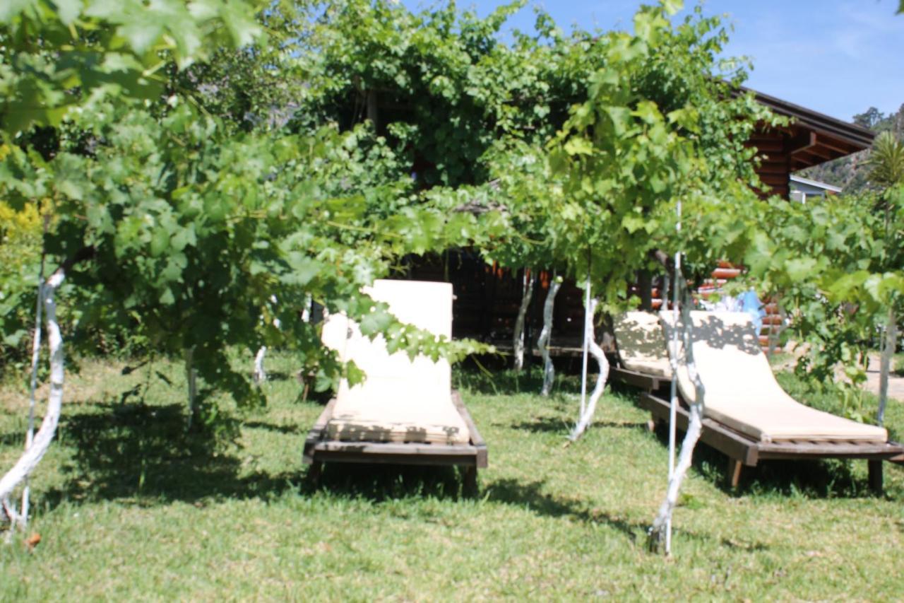 Bed and Breakfast Sakin Vadi Winehouse Orhaniye  Esterno foto