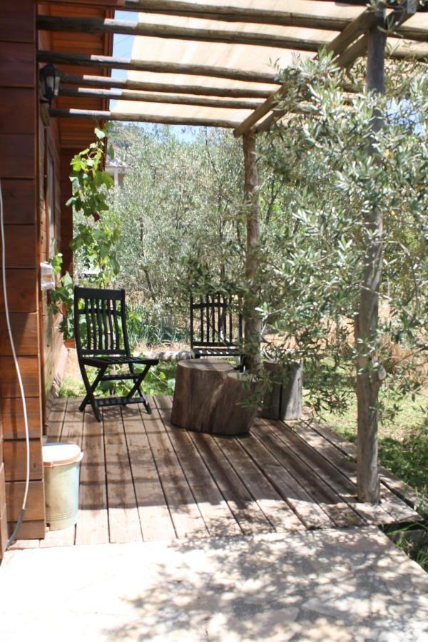 Bed and Breakfast Sakin Vadi Winehouse Orhaniye  Esterno foto