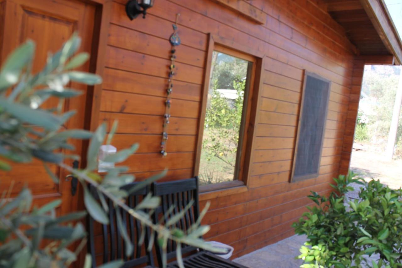 Bed and Breakfast Sakin Vadi Winehouse Orhaniye  Esterno foto
