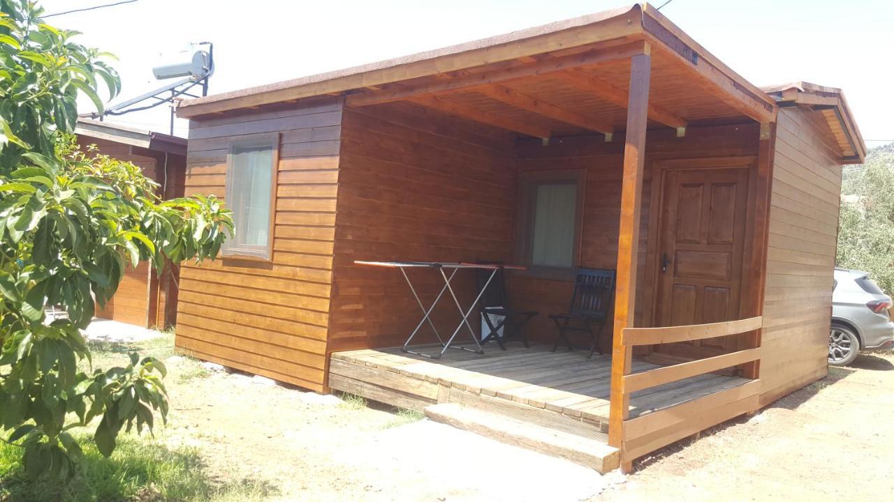 Bed and Breakfast Sakin Vadi Winehouse Orhaniye  Esterno foto