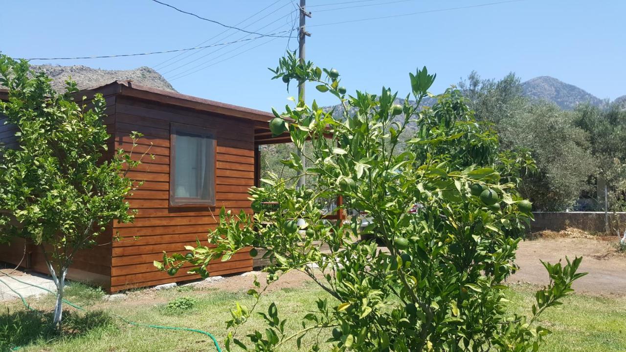 Bed and Breakfast Sakin Vadi Winehouse Orhaniye  Esterno foto